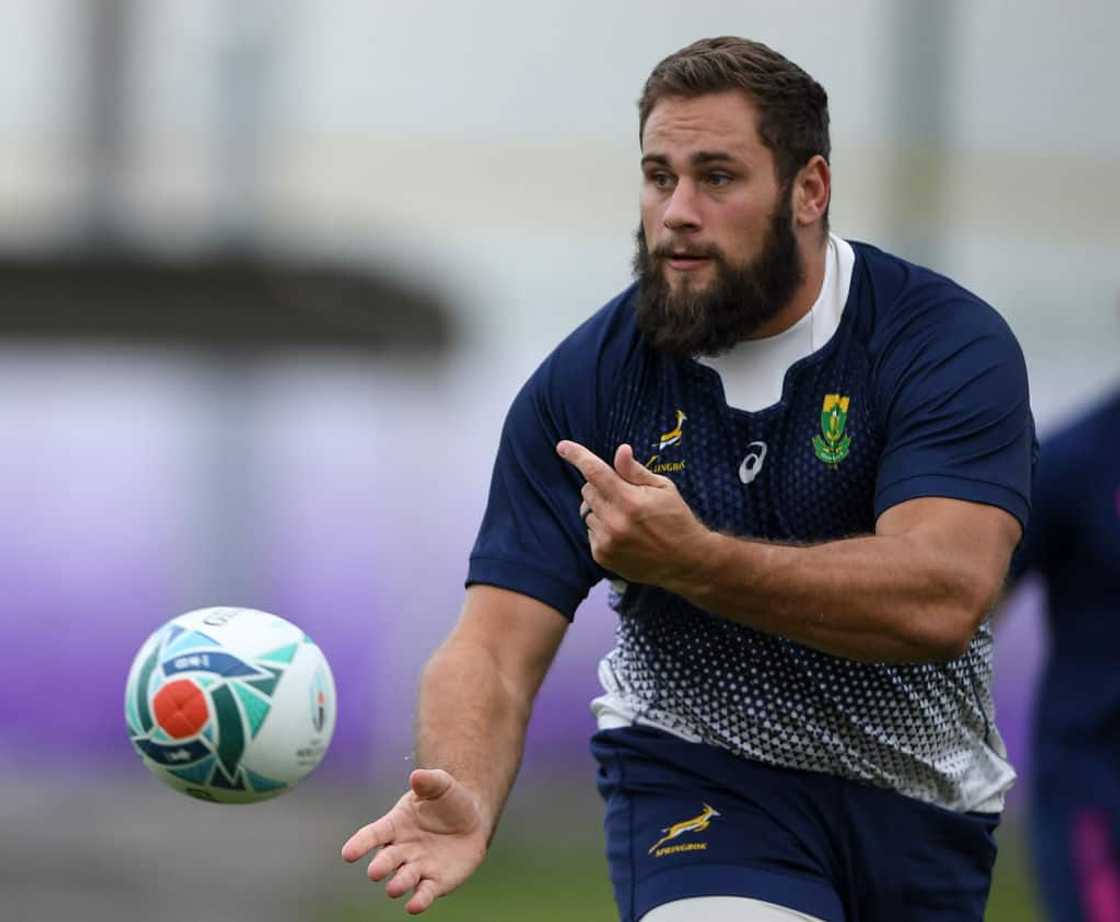 Thomas du Toit's career Thomas du Toit's career