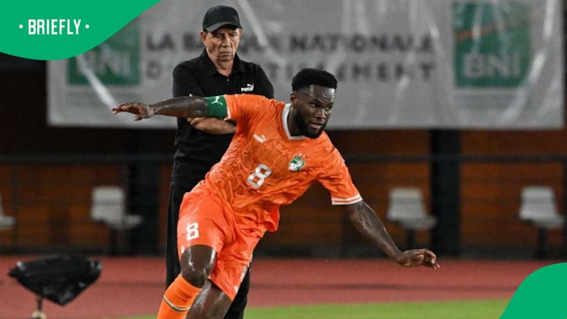 Jean-Louis Gasset, Ivory Coast, AFCON 2023