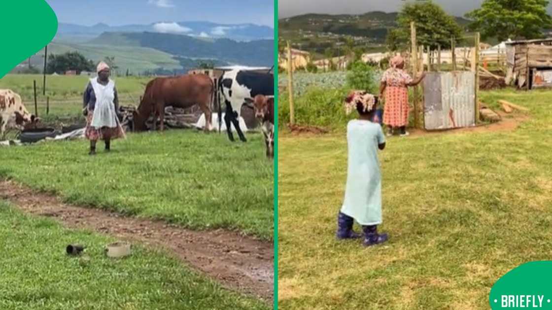 The picture on the right showed the mom standing next to the garden gate