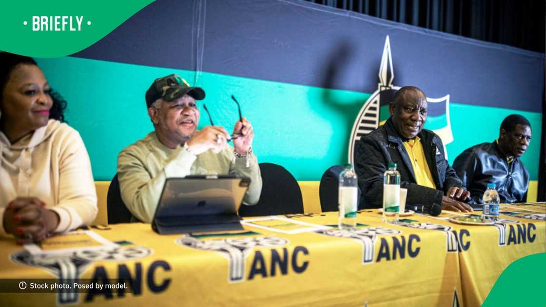 The ANC NEC announced the establishment of a committee to investigate media leaks The ANC NEC announced the establishment of a committee to investigate media leaks