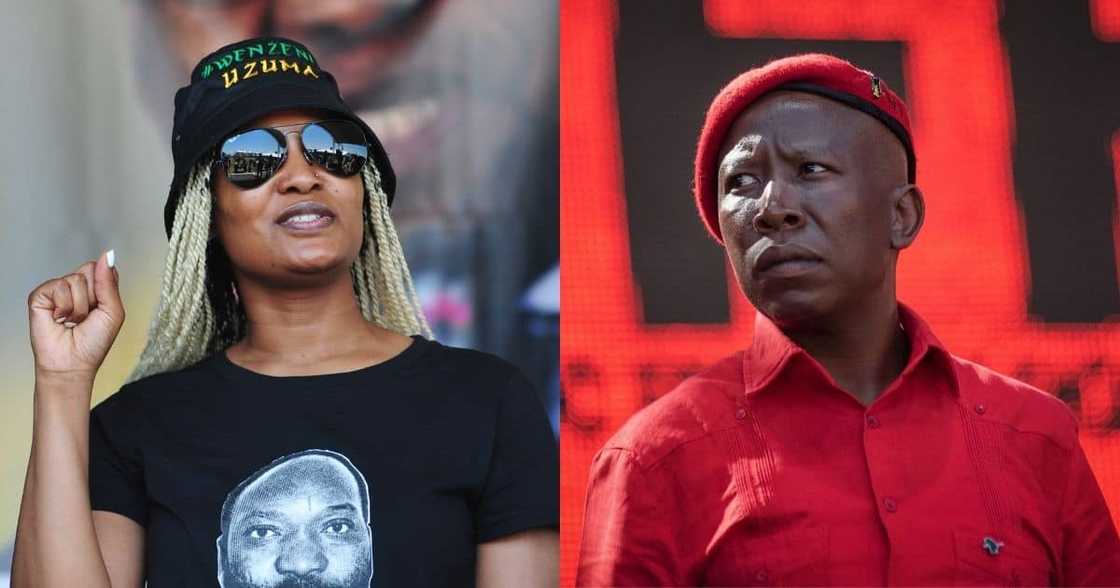Duduzile Zuma, Julius Malema, EFF, video, Parliament, Mzansi reacts Duduzile Zuma, Julius Malema, EFF, video, Parliament, Mzansi reacts