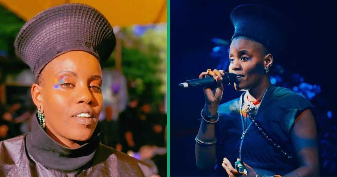 Toya Delazy was judged for her unusual performances and singing Toya Delazy was judged for her unusual performances and singing