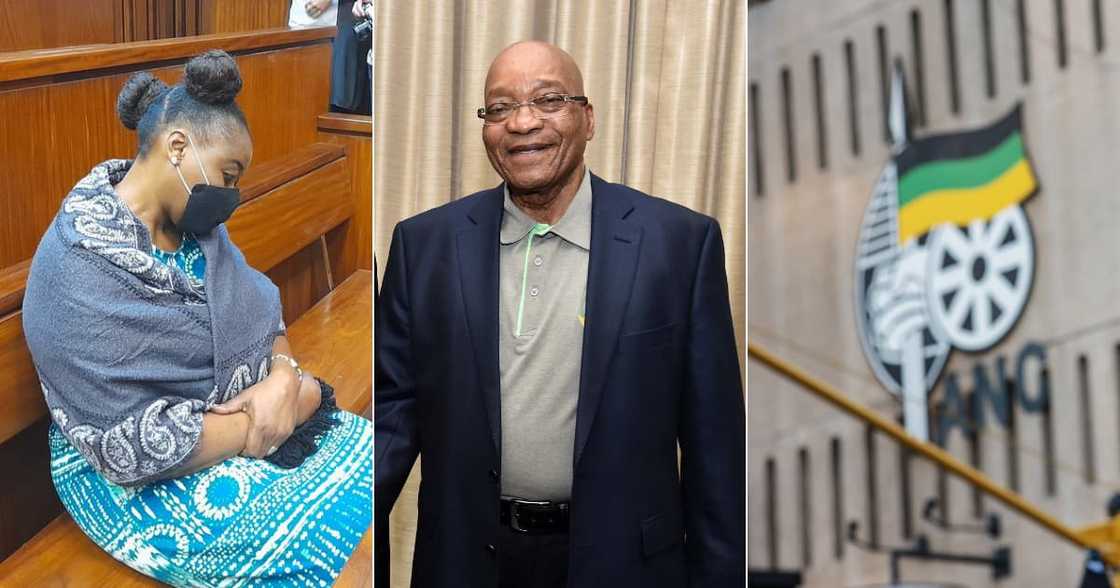 Nomia Rosemary Ndlovu, Jacob Zuma, Nkandla, African National Congress, DA, EFF