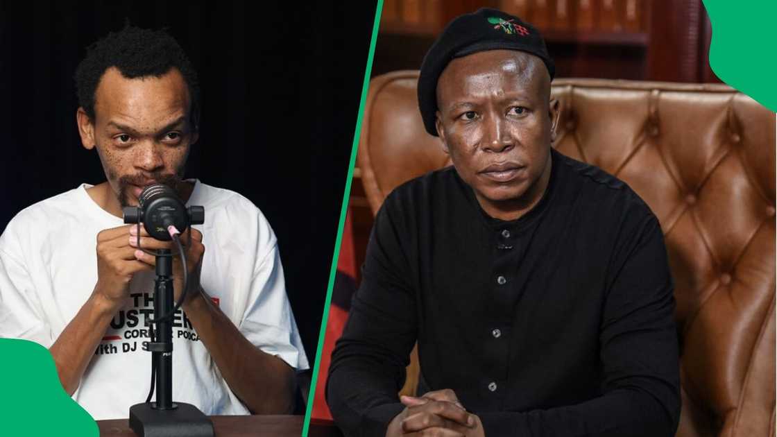 Ngizwe Mchunu questions why Malema was allowed to go home Ngizwe Mchunu questions why Malema was allowed to go home