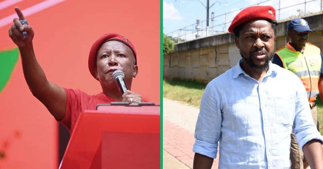EFF's Julius Malema praised Mbuyiseni Ndlozi's finer qualities EFF's Julius Malema praised Mbuyiseni Ndlozi's finer qualities