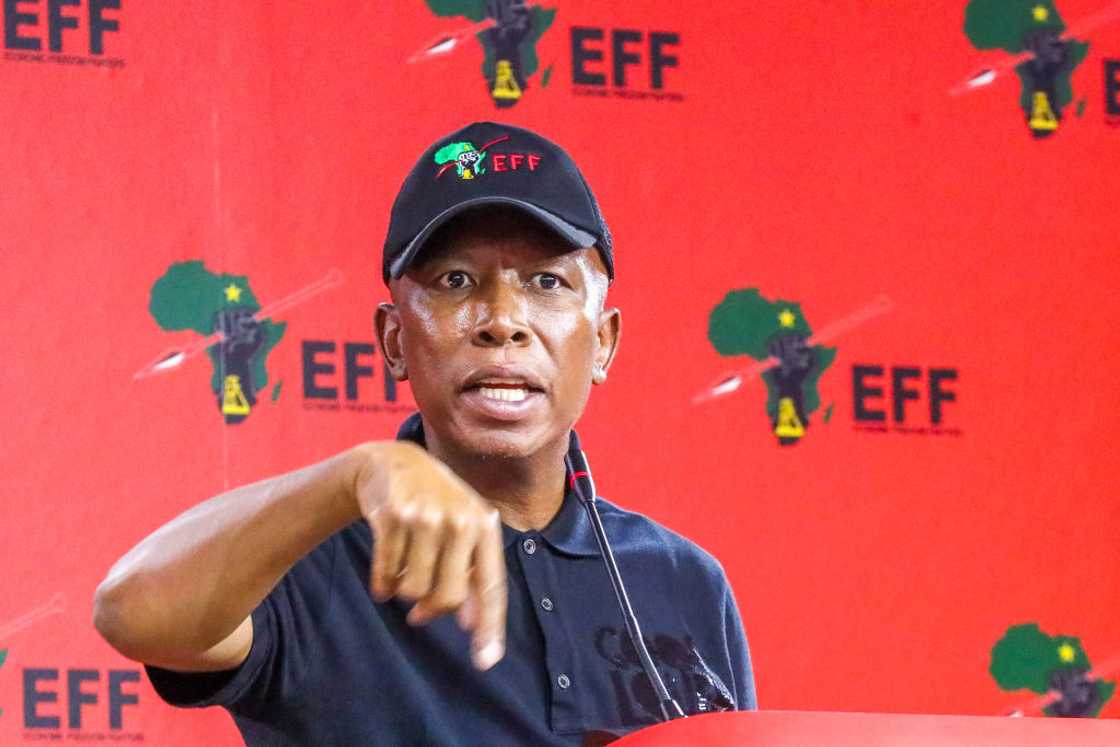 Julius Malema slammed Elon Musk Julius Malema slammed Elon Musk