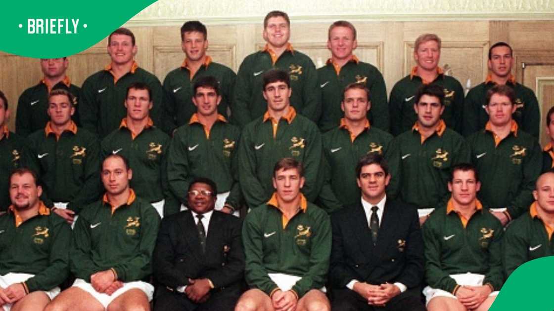 Springboks Springboks