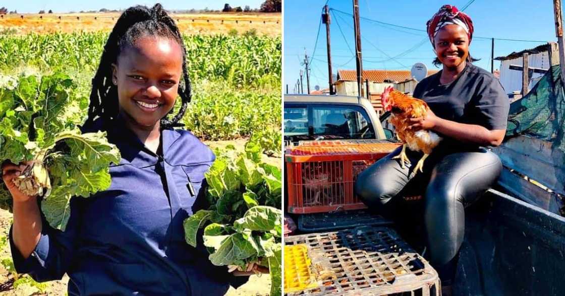 farmer, cape town, Khayelitsha, women in agriculture, agriculture, poultry farming, inspiration, young, spinach farming, spinach, peppers farmer, cape town, Khayelitsha, women in agriculture, agriculture, poultry farming, inspiration, young, spinach farming, spinach, peppers