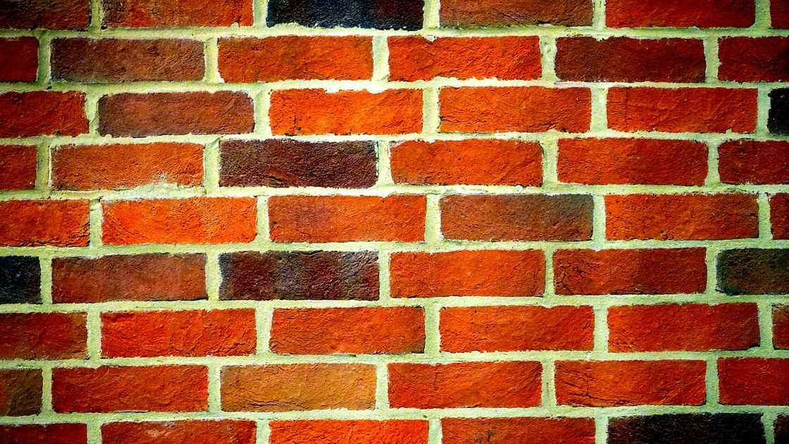 Landscape photography of orange brick wall Landscape photography of orange brick wall