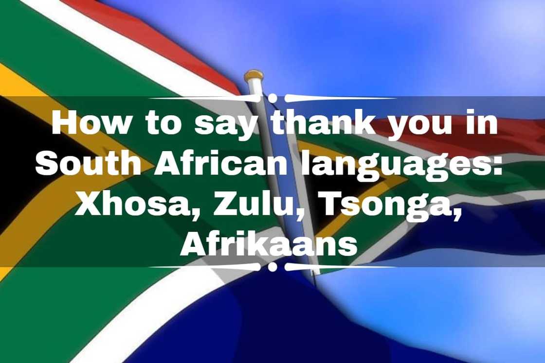 How do you say thank you in South African language? How do you say thank you in South African language?