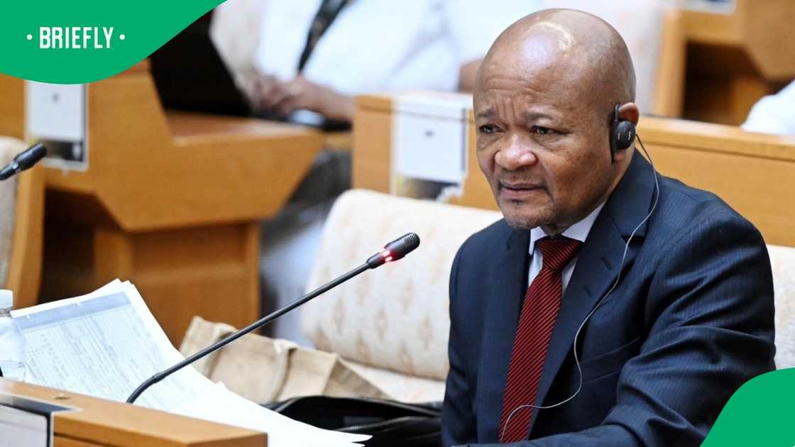 Police Minister Senzo Mchunu allegedly has a relationship with Katiso Molefe