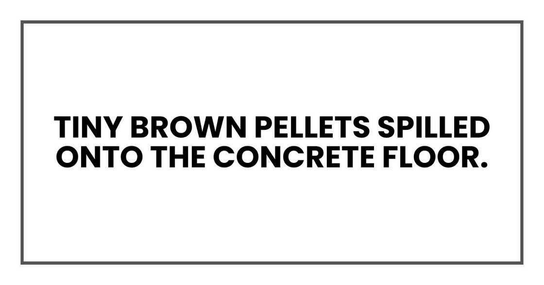 Tiny brown pellets spilled onto the concrete floor. Tiny brown pellets spilled onto the concrete floor.