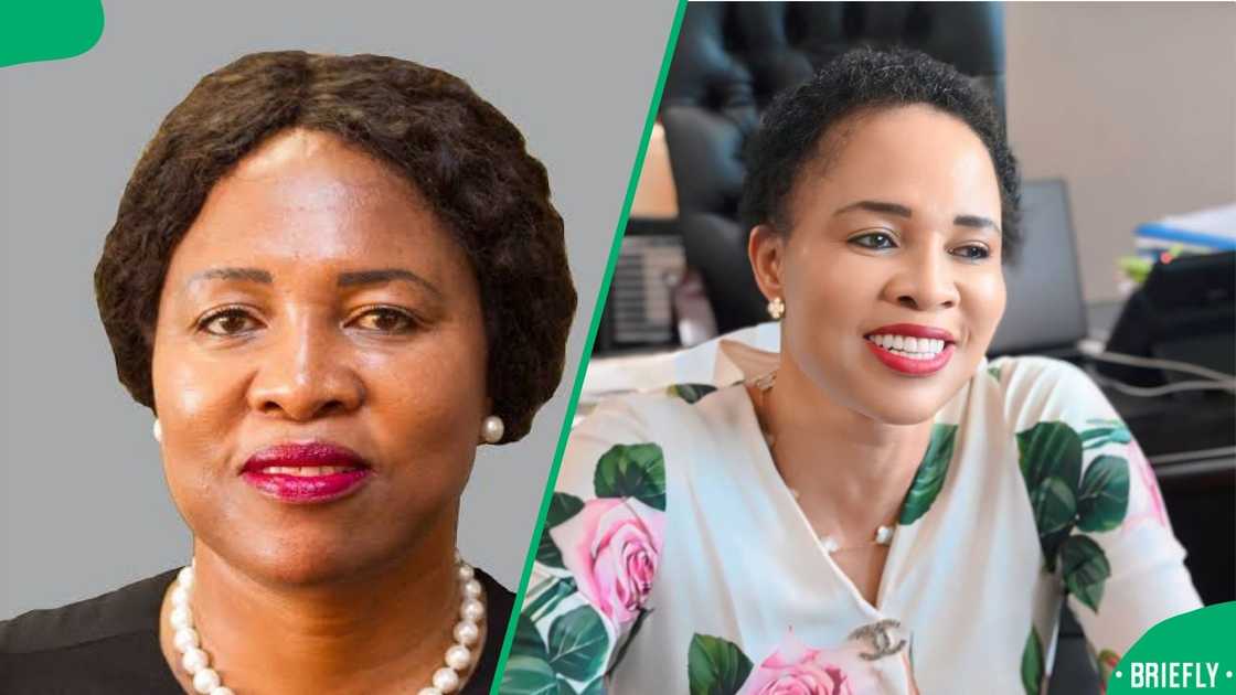 Dr Imogen Mashazi bleached skin trends at Madlanga Commission