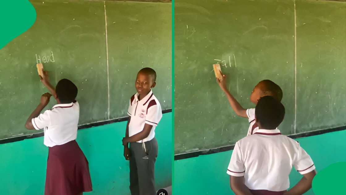 The exercise required young pupils to erase and replace individual letters to create new English words