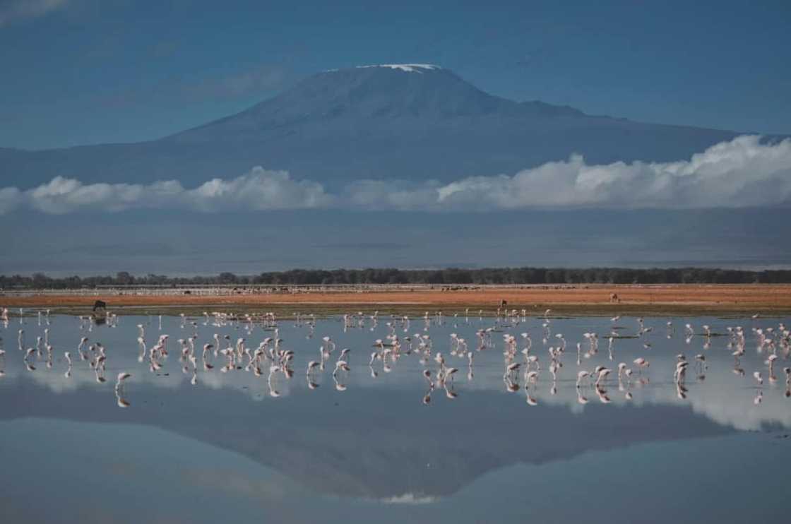 Kilimanjaro National Park is among the World Heritage sites expected to lose their glaciers by 2050 Kilimanjaro National Park is among the World Heritage sites expected to lose their glaciers by 2050