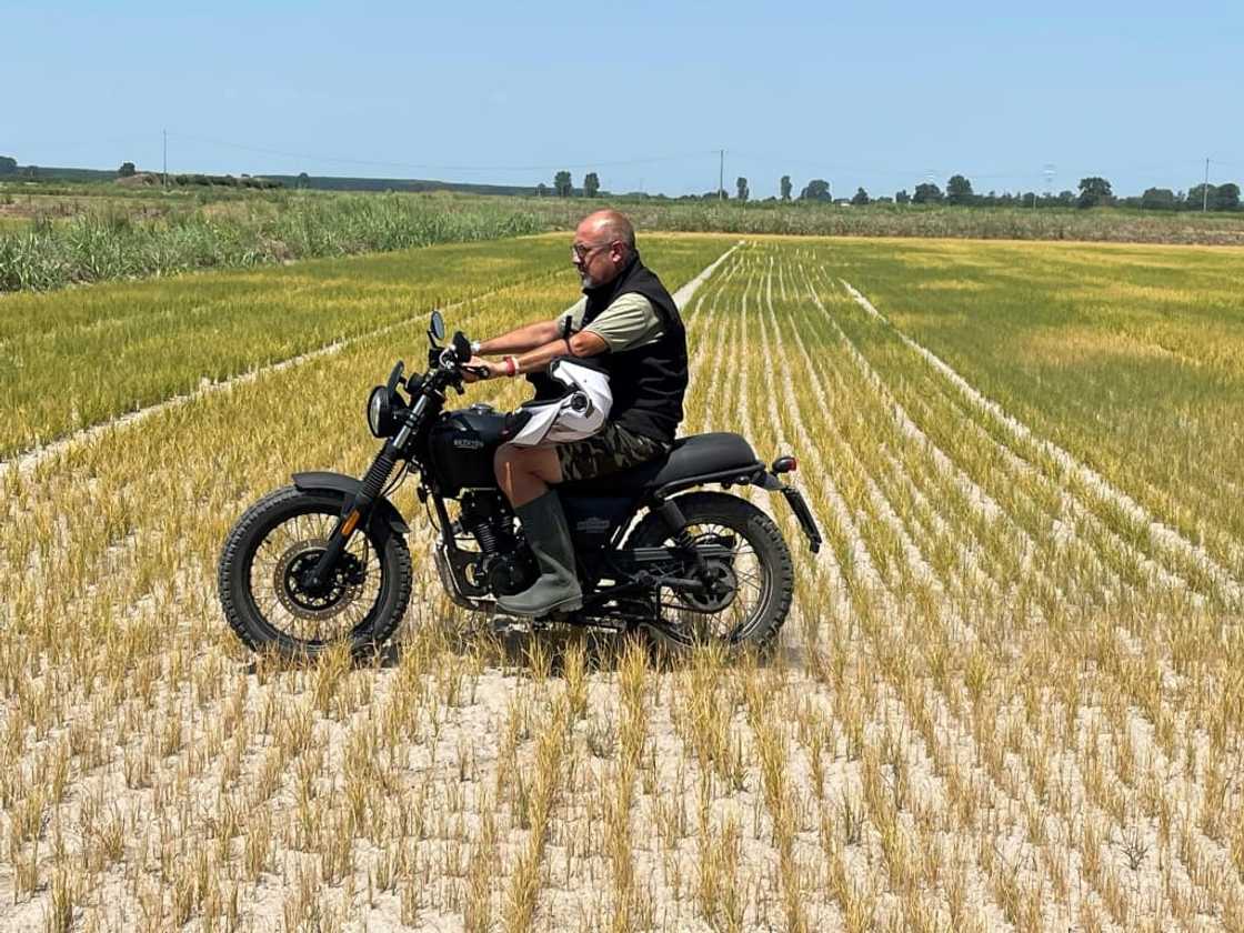 Last year's drought severely affected crops in Europe Last year's drought severely affected crops in Europe