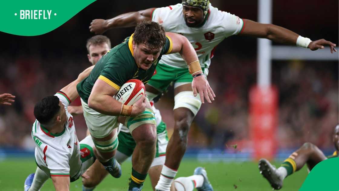 Wiese will face the full might of World Rugby law, and Springboks coach Rassie Erasmus expressed his disappointment over the incident. Wiese will face the full might of World Rugby law, and Springboks coach Rassie Erasmus expressed his disappointment over the incident.