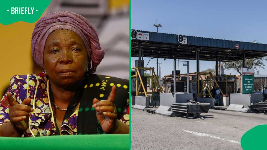 Former Home Affairs Minister Dr Nkosazana Dlamini-Zuma said all but one country in the SADC region do not require a visa to enter South Africa