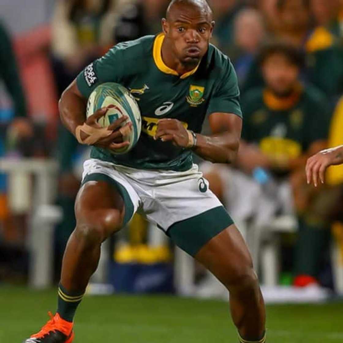 makazole mapimpi stats makazole mapimpi stats