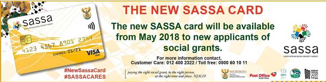 SASSA branches, contact details and office hours
