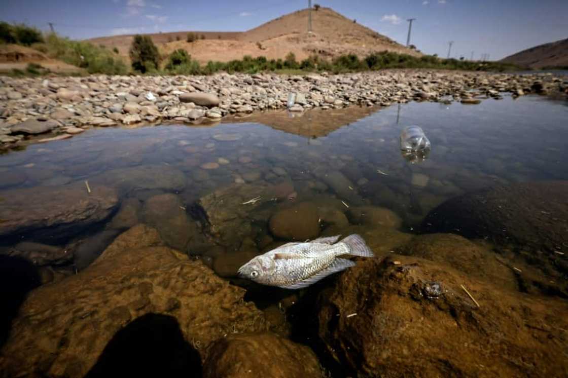 Residents of Morocco's Ouled Essi Masseoud village are suffering from a series of successive droughts