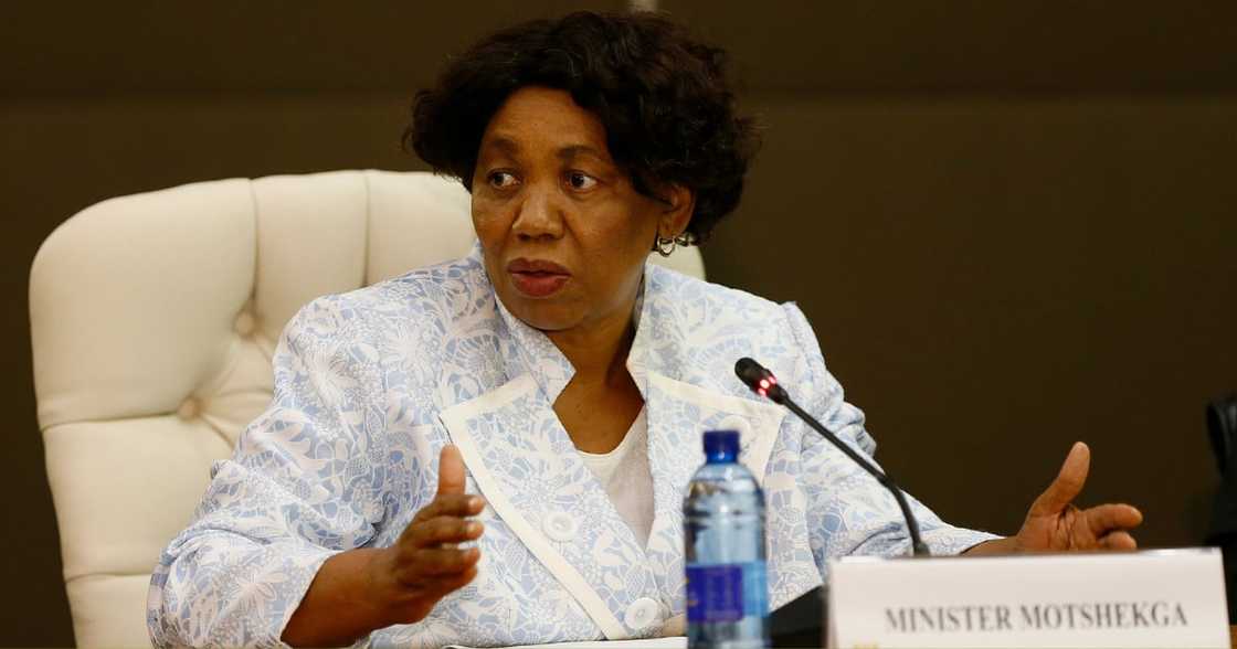 Basic Education minister Angie Motshekga, Acting President