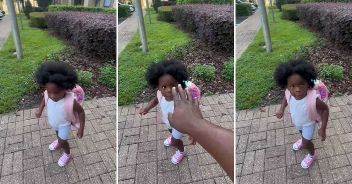 Little girl afro Little girl afro