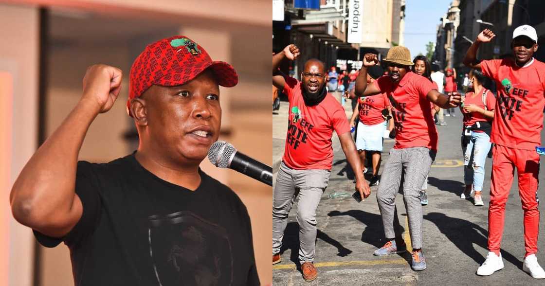 Free water and electricity, Malema, promises, poor, EFF, elections