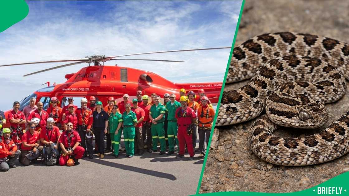 The Wilderness Search and Rescue Western Cape was called, and they came and lifted the boy to safety The Wilderness Search and Rescue Western Cape was called, and they came and lifted the boy to safety