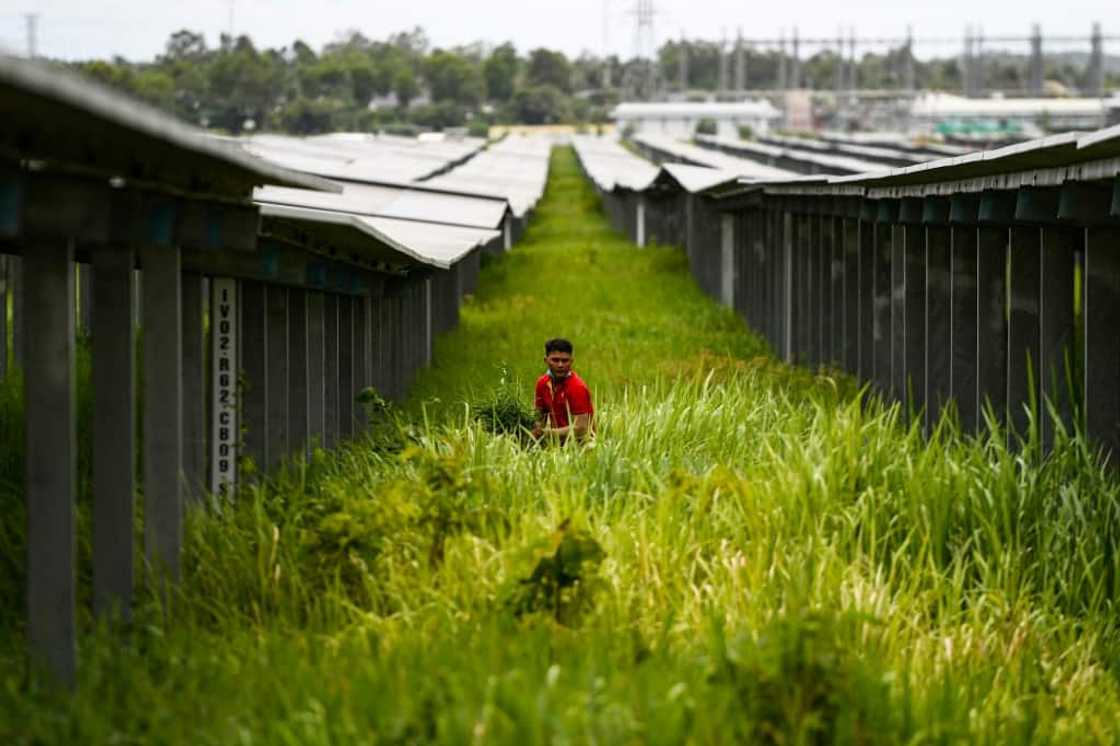 Last year Vietnam ranked in the top 10 globally for solar energy capacity Last year Vietnam ranked in the top 10 globally for solar energy capacity