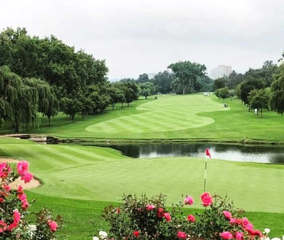 Glendower Glendower