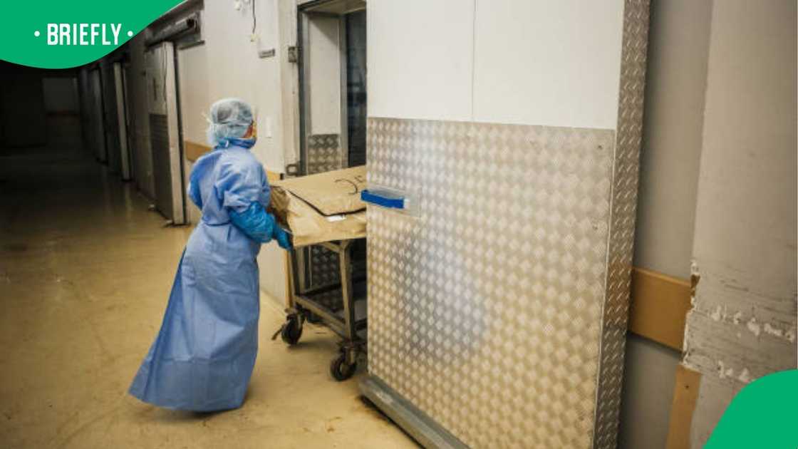 KZN Department of health