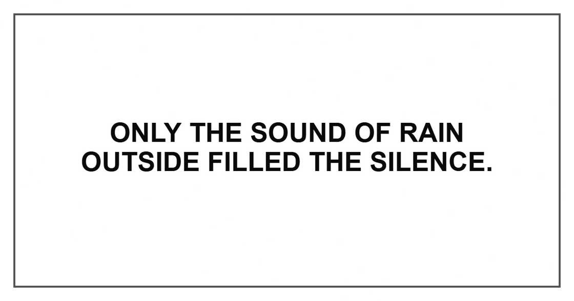 Only the sound of rain outside filled the silence. Only the sound of rain outside filled the silence.