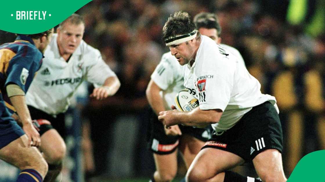 Springboks, South Africa, Stormers, Toks Van Der Linde