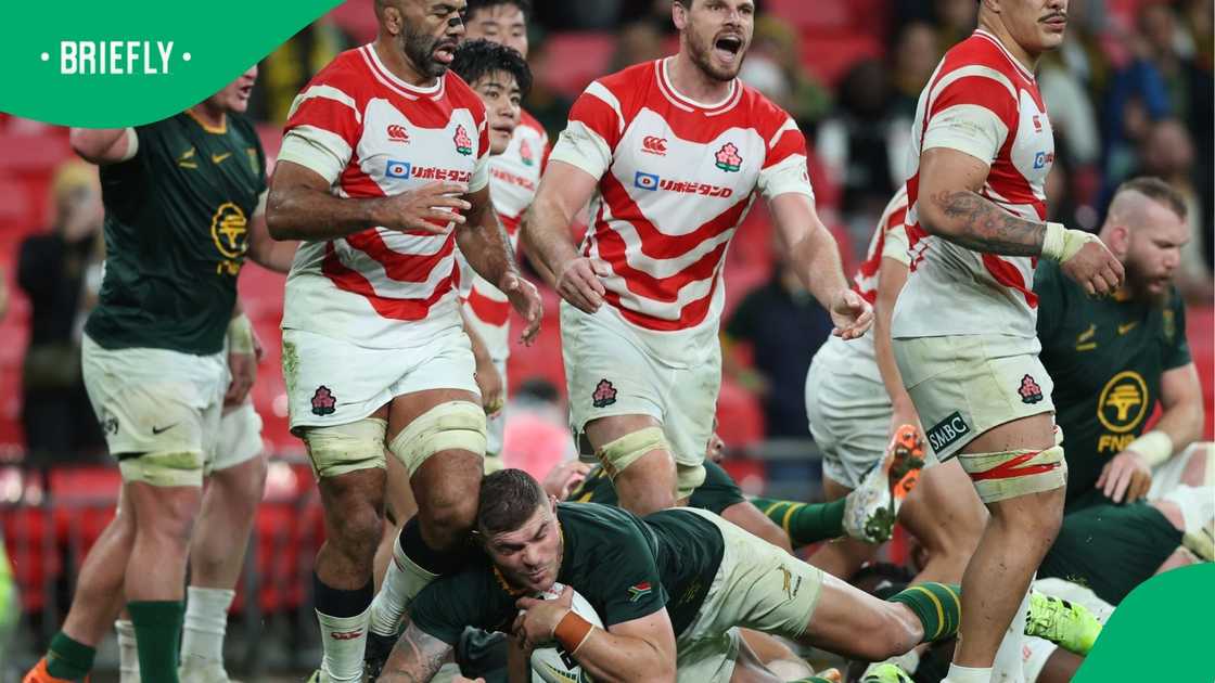 Springboks, South Africa, Japan, Autumn Nations Series 2025