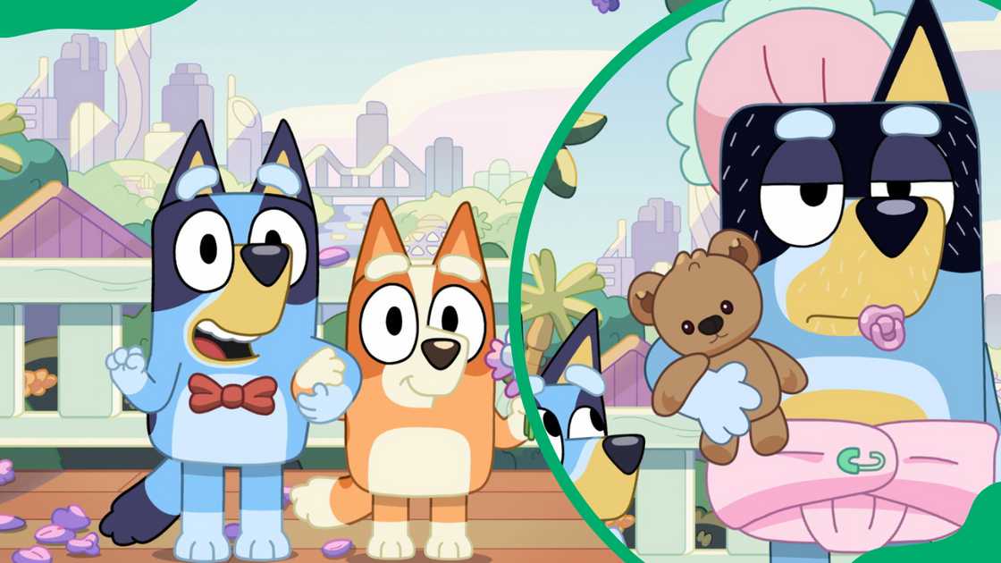 The Show characters The Show characters