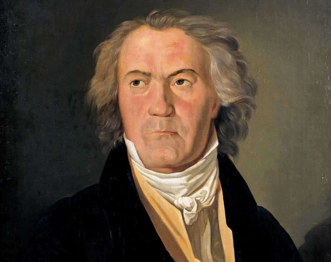 Portrait of Ludwig van Beethoven with oil on canvas Portrait of Ludwig van Beethoven with oil on canvas