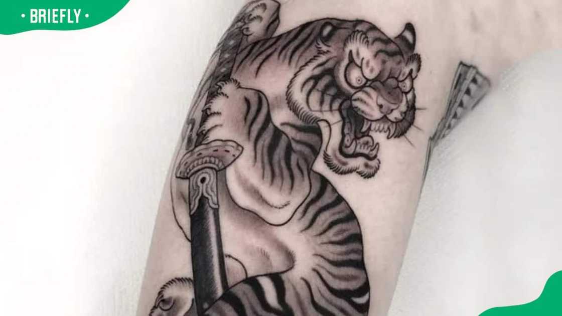 Japanese tiger and sword tattoo design Japanese tiger and sword tattoo design