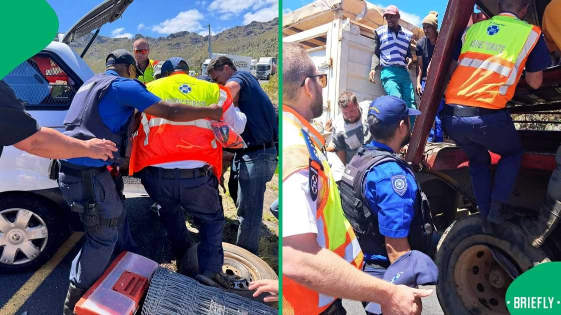 SPCA officials assisting at the scene of the deadly crash. SPCA officials assisting at the scene of the deadly crash.