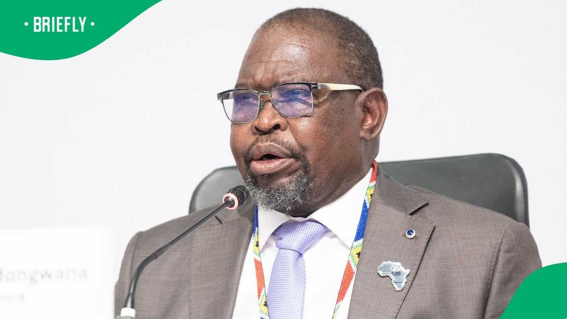 Enoch Godongwana has responded to the DA and EFF’s court challenge against the budget. Enoch Godongwana has responded to the DA and EFF’s court challenge against the budget.