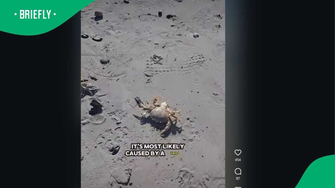 A clip went viral. A clip went viral.