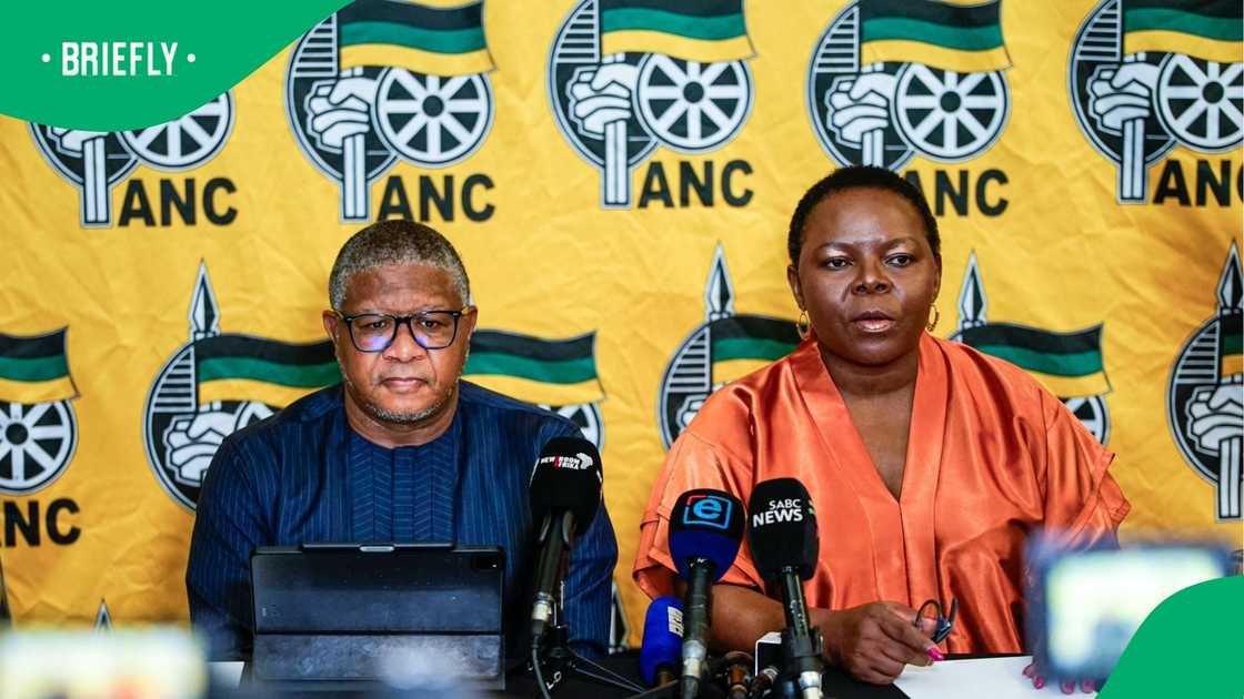 The party is reportedly exploring various models to become self-sufficient.