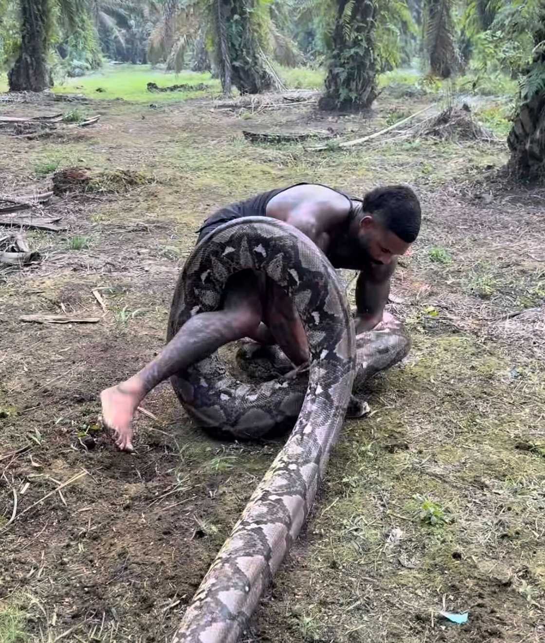 A man wrestled with a massive snake in an intense video that shocked online users.