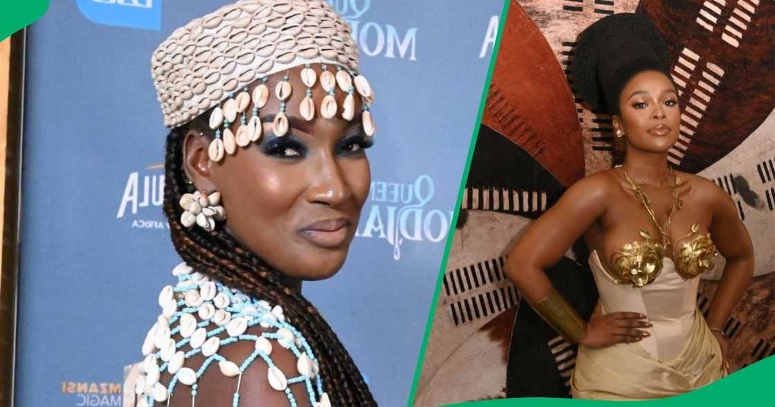 'Queen Modjadji's numbers were compared to 'Shaka iLembe's 'Queen Modjadji's numbers were compared to 'Shaka iLembe's