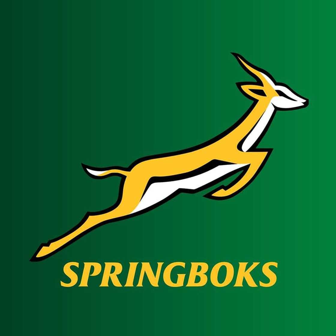 famous South African rugby players