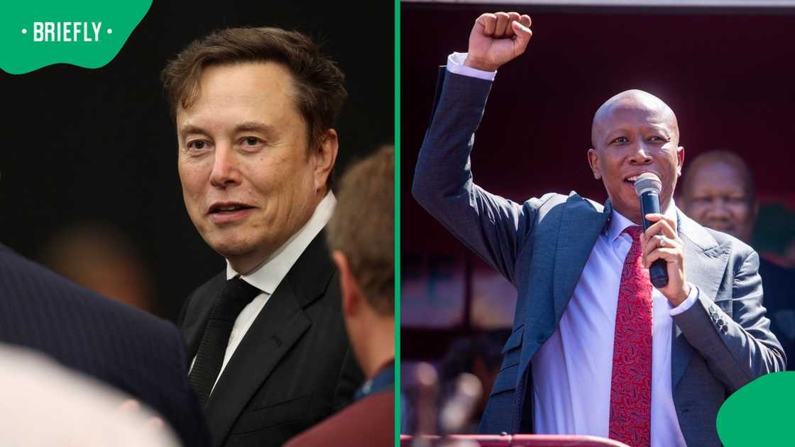 Billionaire Elon Musk said Julius Malema must be imprisoned after he was found guilty