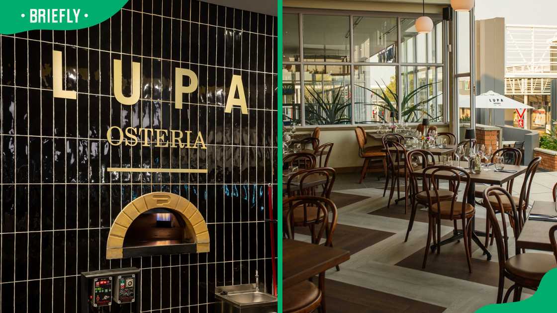 Lupa Osteria restaurant