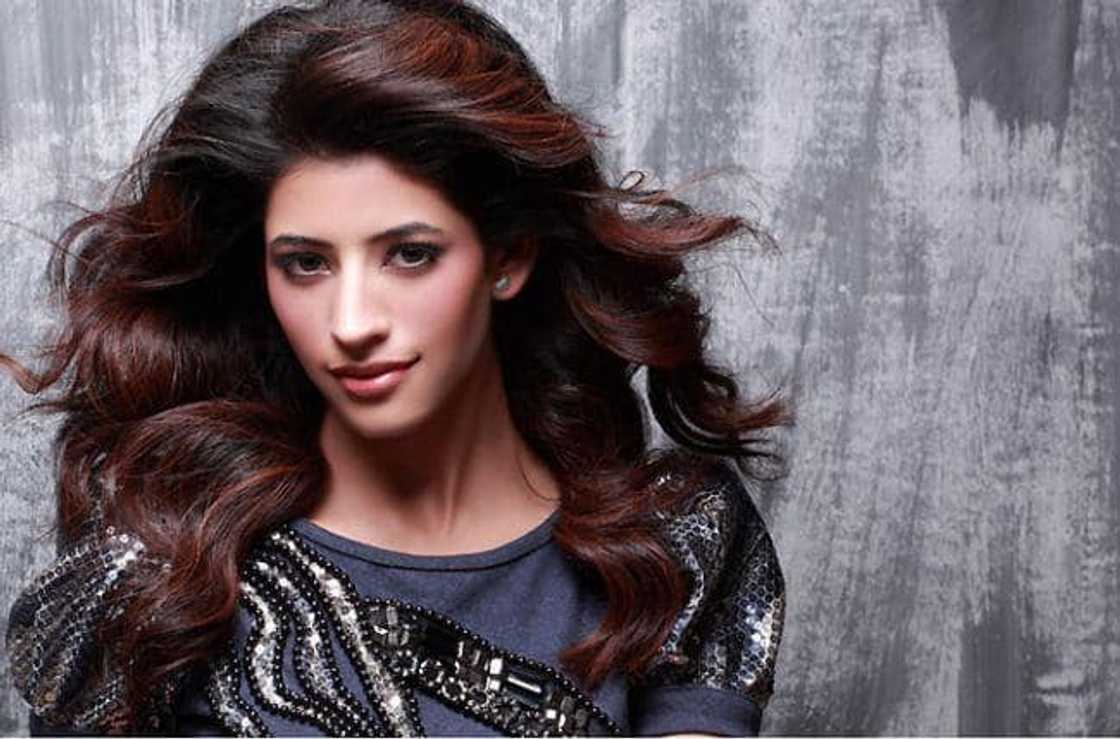 Reach for the Stars Zee World cast Reach for the Stars Zee World cast