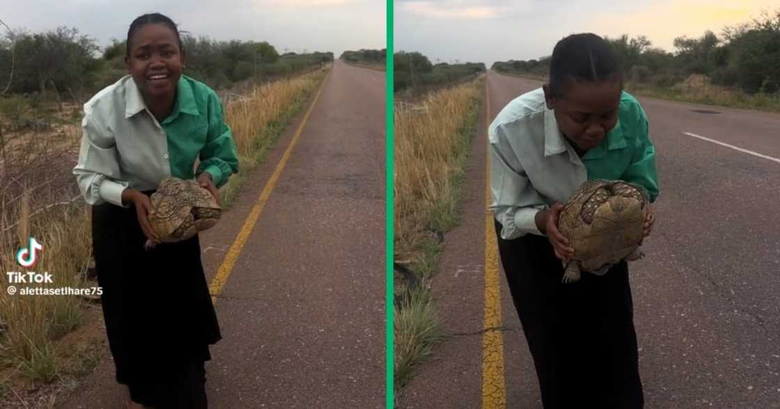 Woman carried a wild tortoise