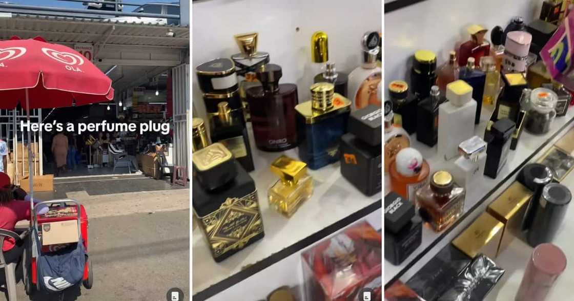 Influencer hooked SA ladies with a perfume plug Influencer hooked SA ladies with a perfume plug